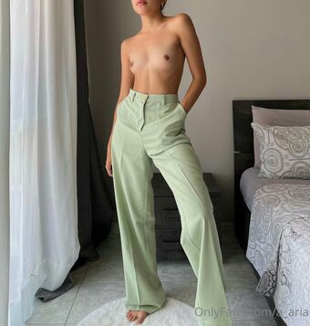 a_aria Fotografii Nud Scurse OnlyFans 13