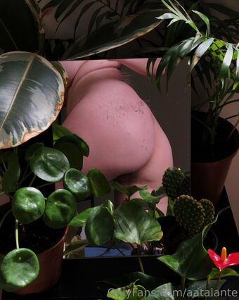 aatalante Fotografii Nud Scurse OnlyFans 29