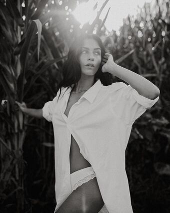 Adi Tal