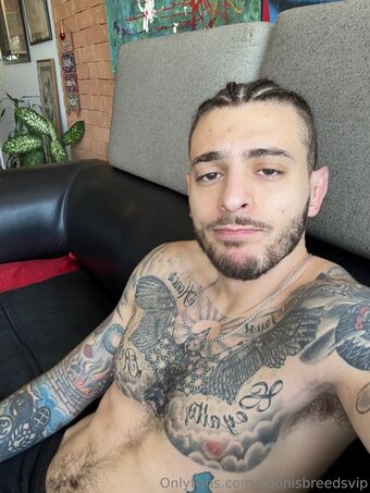 adonisbreedsvip