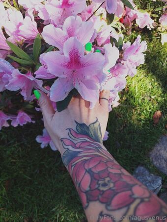 agusvenus Fotografii Nud Scurse OnlyFans 18