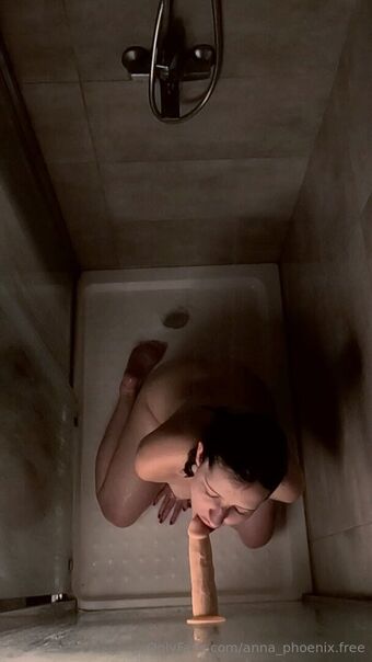 Anna Phoenix Fotografii Nud Scurse OnlyFans 5