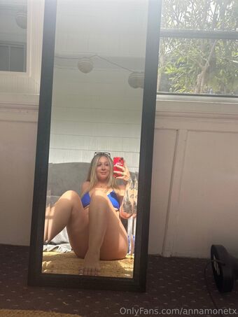 annamonetx Fotografii Nud Scurse OnlyFans 13