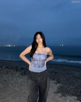 Annie Zheng (@cellow111)