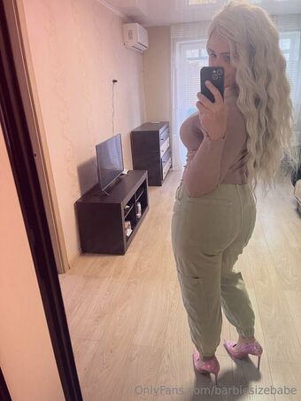 barbiesizebabe Fotografii Nud Scurse OnlyFans 7
