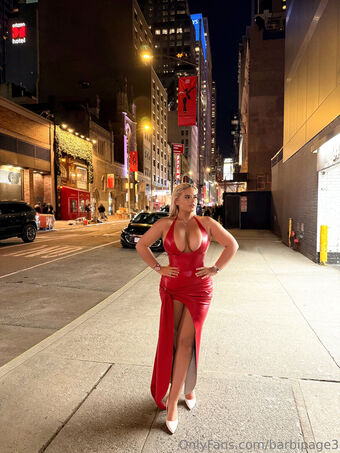 barbipage3
