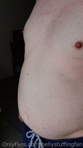 bellystuffingfan Fotografii Nud Scurse OnlyFans 33