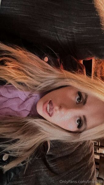 briechie Fotografii Nud Scurse OnlyFans 11