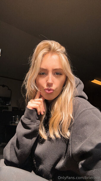 briechie Fotografii Nud Scurse OnlyFans 14