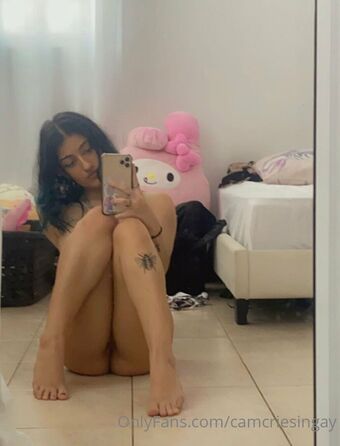 Camcriesingay