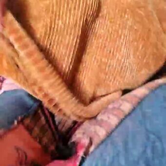 Cami Sweet Fotografii Nud Scurse OnlyFans 40