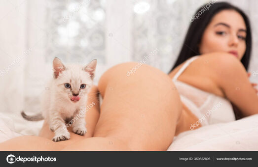 Cat Kitty