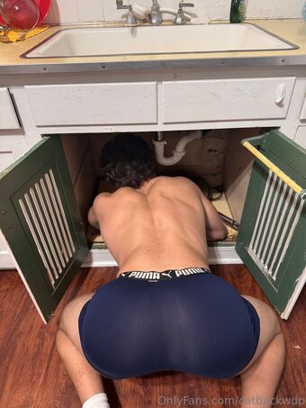 catbackwdp Fotografii Nud Scurse OnlyFans 14