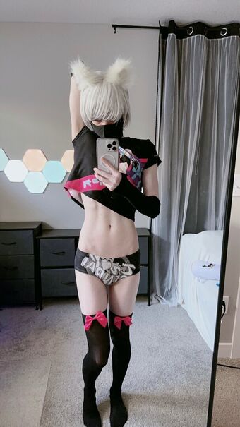Catboiaoi