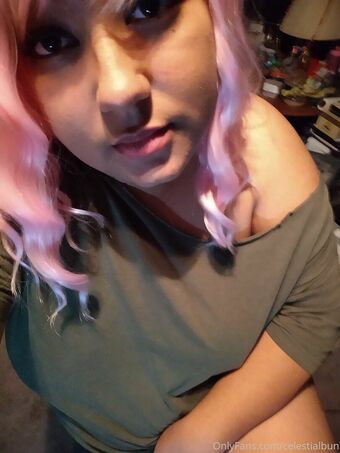 celestialbun Fotografii Nud Scurse OnlyFans 6