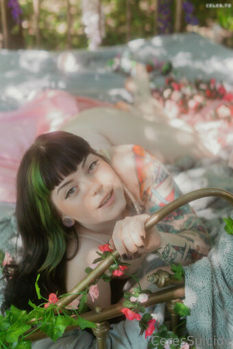 Ceres Suicide
