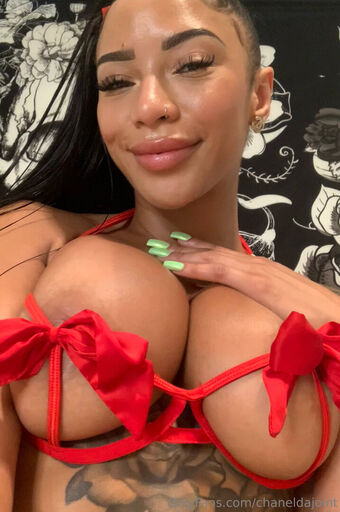 chaneldajoint Fotografii Nud Scurse OnlyFans 29