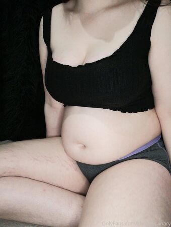 chubbycanary Fotografii Nud Scurse OnlyFans 10