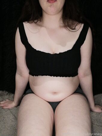 chubbycanary Fotografii Nud Scurse OnlyFans 16