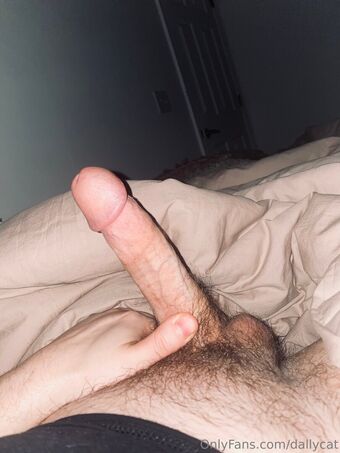 dallycat Fotografii Nud Scurse OnlyFans 35