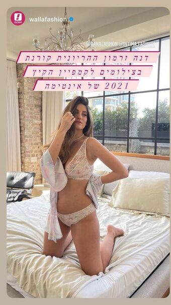 DANA ZARMON Fotografii Nud Scurse OnlyFans 8