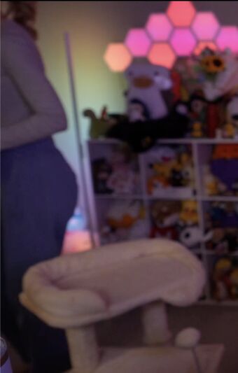 Dizzykitten