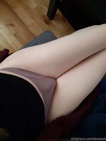 dovelark Fotografii Nud Scurse OnlyFans 15