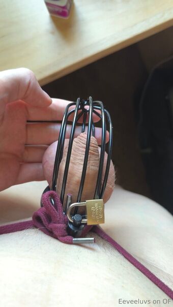eeveeluvs Fotografii Nud Scurse OnlyFans 29