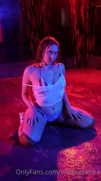 elletwerkvault