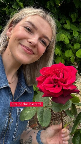 Emmalition Fotografii Nud Scurse OnlyFans 36