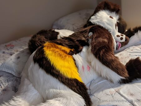 extrasoftpup