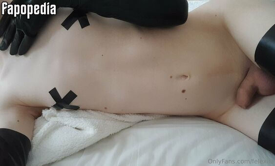 Felexiia Fotografii Nud Scurse OnlyFans 45