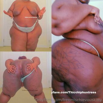 freemischievouskitty Fotografii Nud Scurse OnlyFans 32