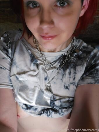 freephoenixxcreates Fotografii Nud Scurse OnlyFans 20