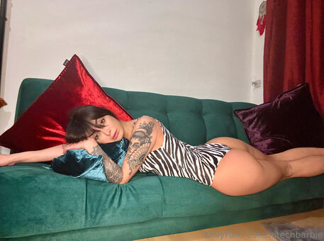 hitechbarbie Fotografii Nud Scurse OnlyFans 23