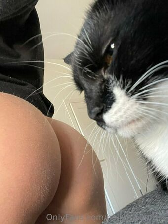 hollymoonvvip Fotografii Nud Scurse OnlyFans 3