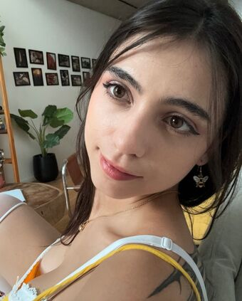 iaaras2