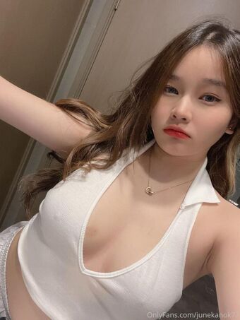 junekanok Fotografii Nud Scurse OnlyFans 23