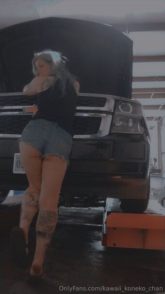 kawaii_koneko_chan