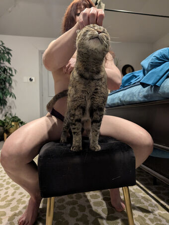 kitty_bit_games