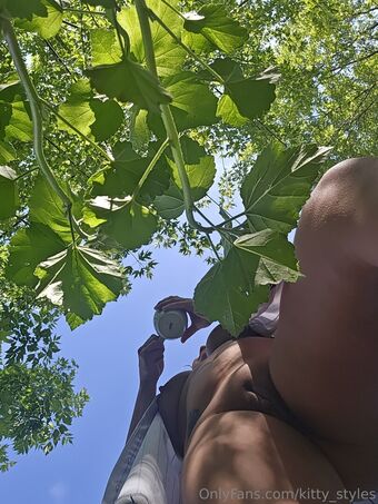 kitty_styles Fotografii Nud Scurse OnlyFans 19