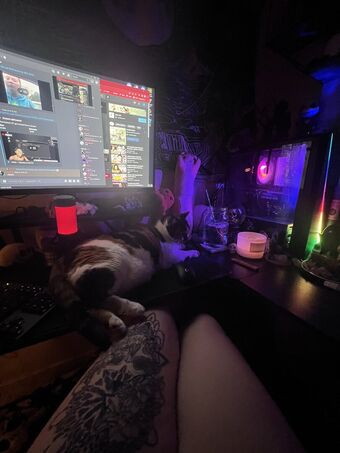 Kitty Titty Fotografii Nud Scurse OnlyFans 3