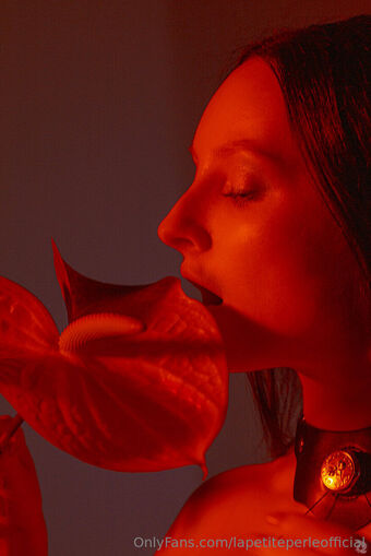 lapetiteperleofficial