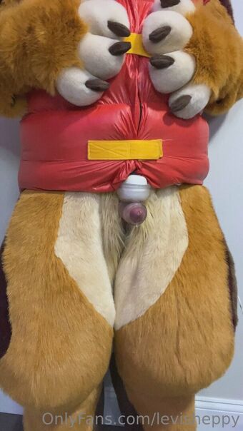 levisheppy
