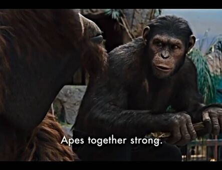 lilijunex Fotografii Nud Scurse OnlyFans 125