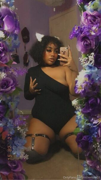 littlemimi01