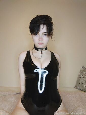 luciuskitten