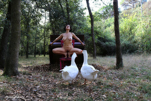 Luz Del Fierro Fotografii Nud Scurse OnlyFans 57