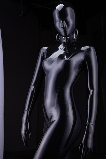 mdollbot