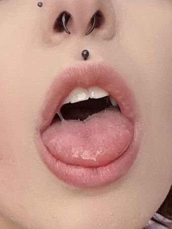 Mewsect